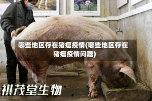 哪些地区存在猪瘟疫情(哪些地区存在猪瘟疫情问题)