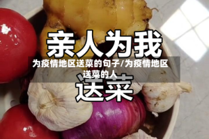为疫情地区送菜的句子/为疫情地区送菜的人