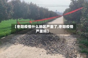 【枣阳疫情什么地区严重了,枣阳疫情严重吗】