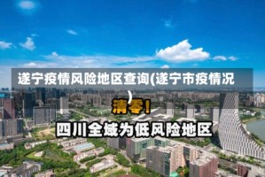 遂宁疫情风险地区查询(遂宁市疫情况)
