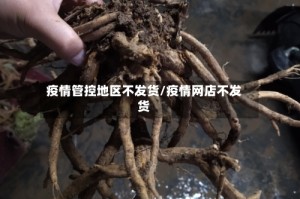 疫情管控地区不发货/疫情网店不发货