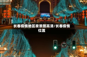长春疫情地区夜景图高清/长春疫情位置