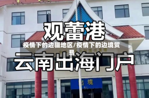 疫情下的边疆地区/疫情下的边境贸易