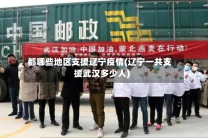 都哪些地区支援辽宁疫情(辽宁一共支援武汉多少人)