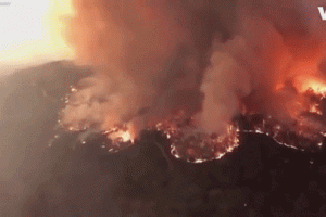 东莞地区疫情防控情况(广东省东莞市疫情实时动态查询)