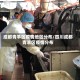 成都青羊区疫情地区分布/四川成都青羊区疫情分布
