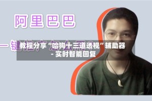 教程分享“哈狗十三道透视”辅助器 - 实时智能回复