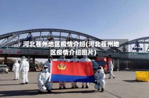 河北苍州地区疫情介绍(河北苍州地区疫情介绍图片)