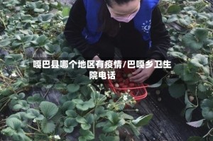 嘎巴县哪个地区有疫情/巴嘎乡卫生院电话