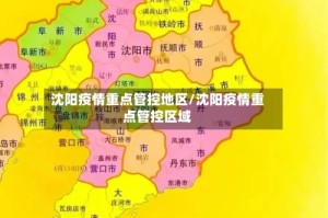 沈阳疫情重点管控地区/沈阳疫情重点管控区域