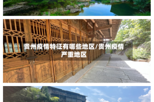 贵州疫情特征有哪些地区/贵州疫情严重地区