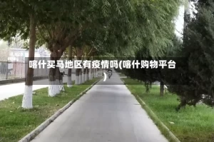 喀什买马地区有疫情吗(喀什购物平台)