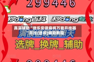 真实辅助“微乐安徽麻将万能开挂器”开挂(透视)辅助教程