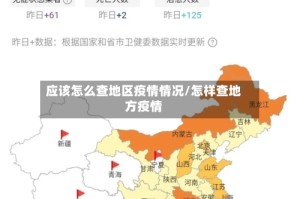 应该怎么查地区疫情情况/怎样查地方疫情