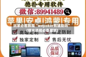 玩家必看教程“wepoker有辅助吗”(曝光透视必备猫腻)