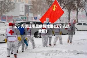 辽宁支援过哪里疫情地区(辽宁支援全国)