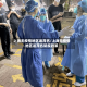 上海无疫情地区返茂名/上海无疫情地区返茂名防疫政策