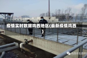 疫情实时数据鸡西地区(最新疫情鸡西)