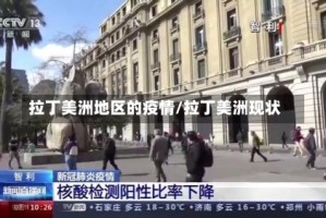 拉丁美洲地区的疫情/拉丁美洲现状