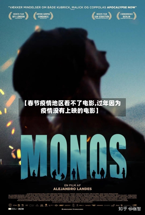 【春节疫情地区看不了电影,过年因为疫情没有上映的电影】-第2张图片