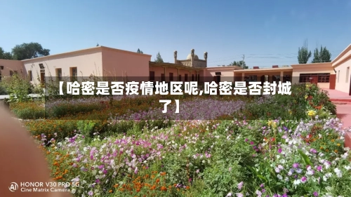 【哈密是否疫情地区呢,哈密是否封城了】-第1张图片