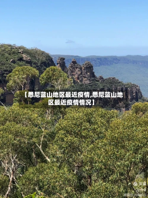 【悉尼蓝山地区最近疫情,悉尼蓝山地区最近疫情情况】-第1张图片