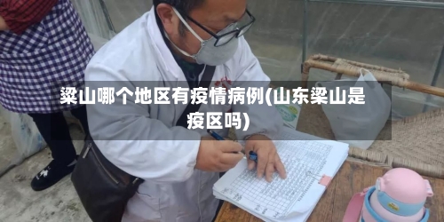 粱山哪个地区有疫情病例(山东梁山是疫区吗)-第1张图片