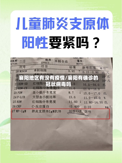襄阳地区有没有疫情/襄阳有确诊的冠状病毒吗-第1张图片