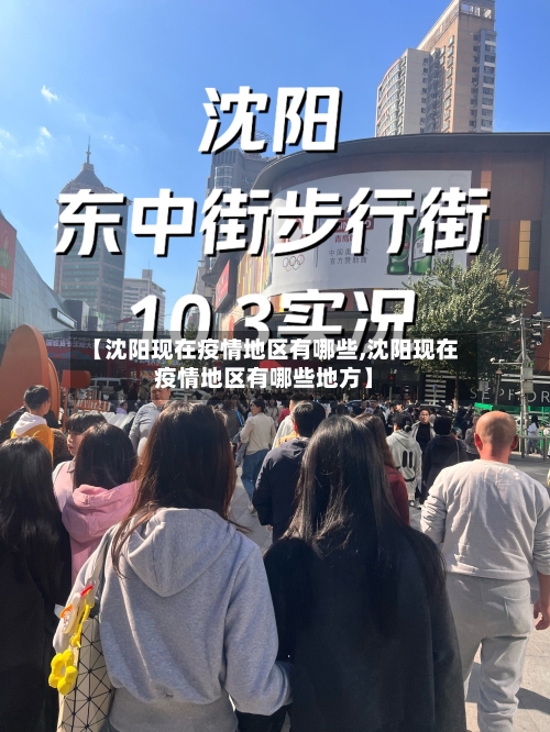 【沈阳现在疫情地区有哪些,沈阳现在疫情地区有哪些地方】-第1张图片