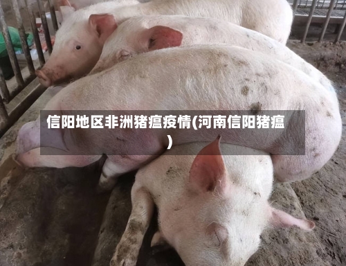 信阳地区非洲猪瘟疫情(河南信阳猪瘟)-第2张图片