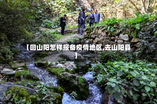 【回山阳怎样报备疫情地区,去山阳县】-第1张图片
