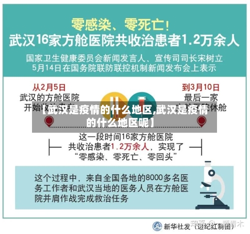 【武汉是疫情的什么地区,武汉是疫情的什么地区呢】-第1张图片
