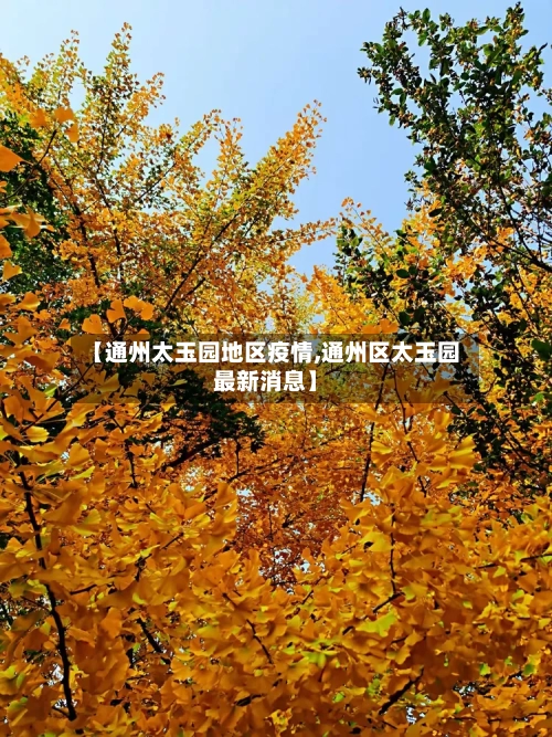 【通州太玉园地区疫情,通州区太玉园最新消息】-第1张图片