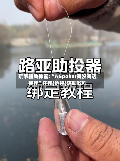 玩家辅助神器:“AGpoker有没有透视挂”开挂(透视)辅助教程-第2张图片