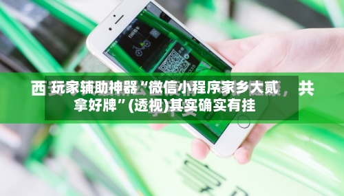 玩家辅助神器“微信小程序家乡大贰拿好牌”(透视)其实确实有挂-第3张图片