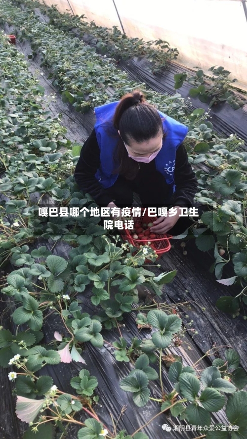 嘎巴县哪个地区有疫情/巴嘎乡卫生院电话-第1张图片