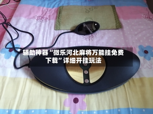 辅助神器“微乐河北麻将万能挂免费下载”详细开挂玩法-第1张图片