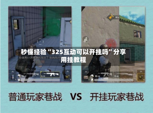 秒懂经验“325互动可以开挂吗	”分享用挂教程-第2张图片