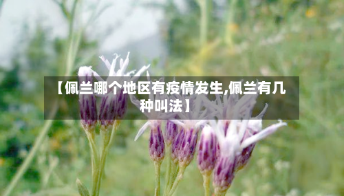 【佩兰哪个地区有疫情发生,佩兰有几种叫法】-第2张图片