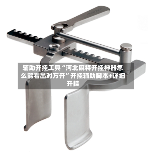 辅助开挂工具“河北麻将开挂神器怎么能看出对方开”开挂辅助脚本+详细开挂-第1张图片