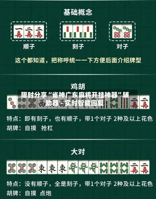 限时分享“雀神广东麻将开挂神器”辅助器 - 实时智能回复-第2张图片