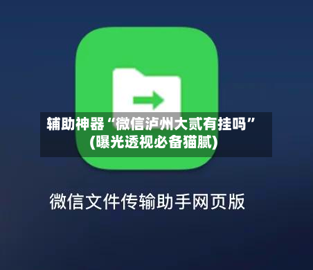 辅助神器“微信泸州大贰有挂吗	”(曝光透视必备猫腻)-第2张图片