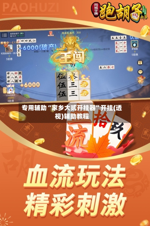 专用辅助“家乡大贰开挂器”开挂(透视)辅助教程-第2张图片