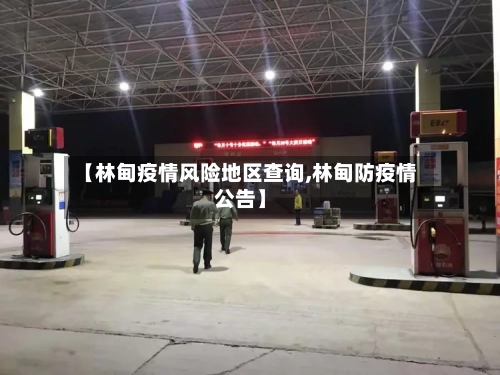 【林甸疫情风险地区查询,林甸防疫情公告】-第2张图片