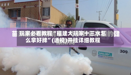 玩家必看教程“福建大玩家十三水怎么拿好牌”(透视)开挂详细教程-第1张图片