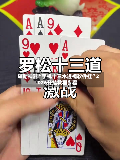 辅助神器“手机十三水透视软件挂	”2026开挂教程步骤-第1张图片