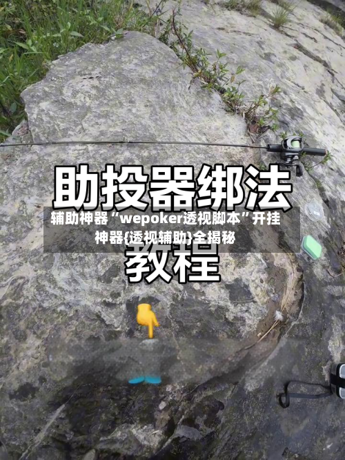 辅助神器“wepoker透视脚本”开挂神器{透视辅助}全揭秘-第3张图片