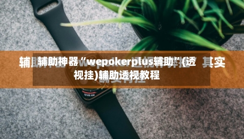 辅助神器“wepokerplus辅助”(透视挂)辅助透视教程-第3张图片