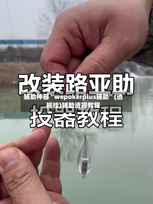 辅助神器“wepokerplus辅助”(透视挂)辅助透视教程-第1张图片