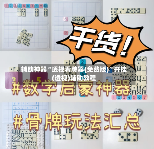 辅助神器“透视看牌器(免费版)”开挂(透视)辅助教程-第1张图片